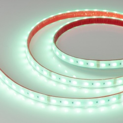 Лента светодиодная Arlight RTW герметичная 034186 в интернет-магазине "Галерея света"