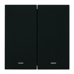 Выключатель двухклавишный с подсветкой без рамки Stekker Мия 50446 в интернет-магазине "Галерея света"