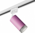 Светильник на штанге Lightstar Rullo R1T43230 в интернет-магазине "Галерея света"