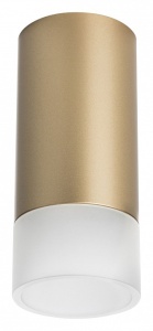 Накладной светильник Lightstar Rullo R44031 в интернет-магазине "Галерея света"