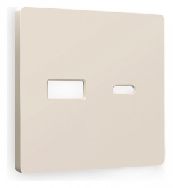 Накладка для розетки type A и C Ambrella Volt ALFA AP3310 в интернет-магазине "Галерея света"