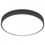 Накладной светильник Arte Lamp Arena A2661PL-1BK в интернет-магазине "Галерея света"