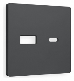 Накладка для розетки type A и C Ambrella Volt ALFA AP9110 в интернет-магазине "Галерея света"