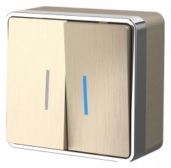 Выключатель двухклавишный с подсветкой Werkel Gallant (шампань рифленый) W5020110 в интернет-магазине "Галерея света"