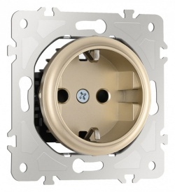 Розетка с заземлением и со шторкой, без рамки Arte Milano am-202 202.40-1.shampan в интернет-магазине "Галерея света"