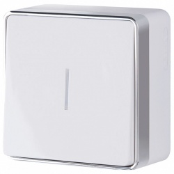 Выключатель одноклавишный с подсветкой Werkel Gallant (белая) W5010101 в интернет-магазине "Галерея света"