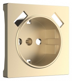 Накладка для розетки с заземлением и 2хUSB Werkel шампань W1179511 в интернет-магазине "Галерея света"