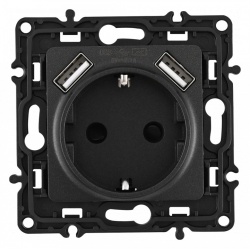 Розетка с заземлением и со шторкой и 2хUSB, без рамки Arte Milano am-217 217.47-1.black в интернет-магазине "Галерея света"