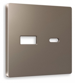 Накладка для розетки type A и C Ambrella Volt ALFA AP6410 в интернет-магазине "Галерея света"