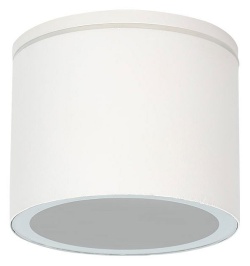 Накладной светильник Arte Lamp Piautos A1913PF-1WH в интернет-магазине "Галерея света"