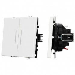 Выключатель двухклавишный без рамки Arlight SWT 054239 в интернет-магазине "Галерея света"