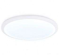 Накладной светильник Ambrella Light FZ FZ1231 в интернет-магазине "Галерея света"