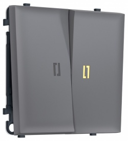 Выключатель двухклавишный с подсветкой без рамки Ambrella Volt MS MS864010 в интернет-магазине "Галерея света"