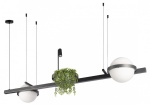 Подвесной светильник Loft it Jardin 10121/D Dark grey в интернет-магазине "Галерея света"