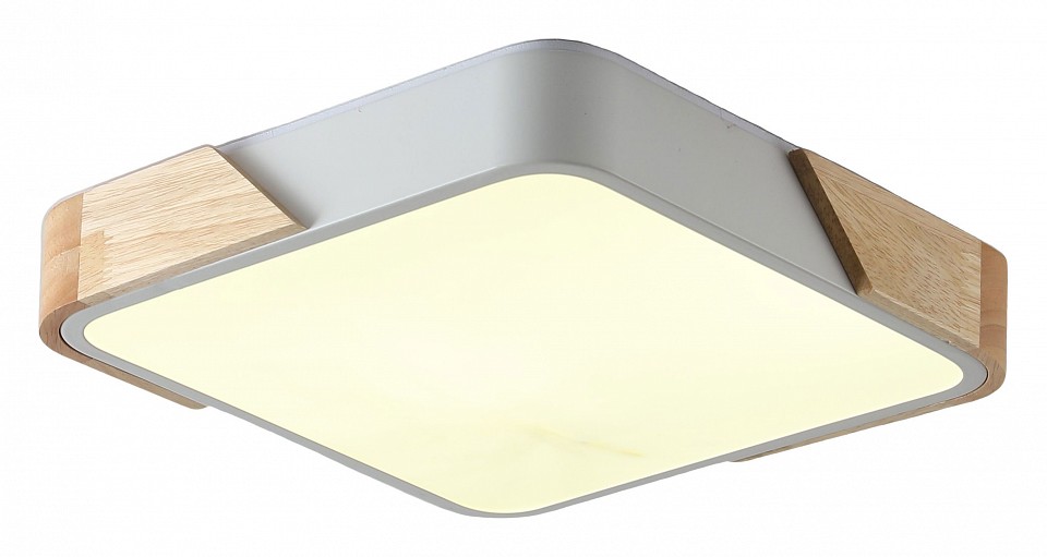 Накладной светильник Zortes Alberro ZRS.01285.60 в интернет-магазине "Галерея света"