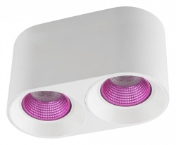 Накладной светильник Denkirs DK3020WPI DK3096-WH+PI в интернет-магазине "Галерея света"