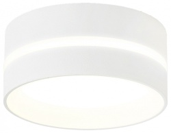 Накладной светильник Ambrella Light TN TN5388 в интернет-магазине "Галерея света"