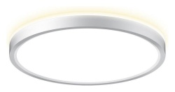 Накладной светильник Citilux NORMA CL748240 в интернет-магазине "Галерея света"