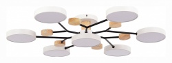Потолочная люстра EVOLUCE Faema SLE6006-502-07 в интернет-магазине "Галерея света"