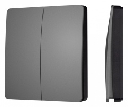 Выключатель беспроводной двухклавишный Arlight INTELLIGENT 051679 в интернет-магазине "Галерея света"