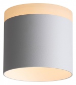 Накладной светильник ST-Luce Panaggio ST102.502.12 в интернет-магазине "Галерея света"