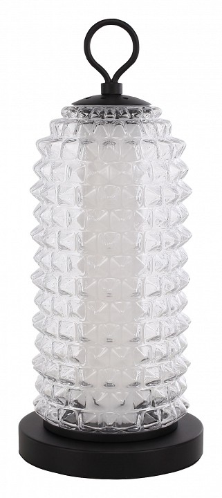 Настольная лампа декоративная ST-Luce SAGUARO SL6144.404.01 в интернет-магазине "Галерея света"