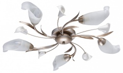 Потолочная люстра MW-Light Восторг 19 242016205 в интернет-магазине "Галерея света"
