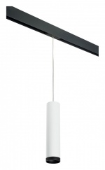 Подвесной светильник Lightstar Rullo PRORP4963437 в интернет-магазине "Галерея света"