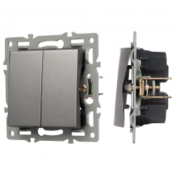 Выключатель проходной двухклавишный без рамки Arlight SWT 043729 в интернет-магазине "Галерея света"