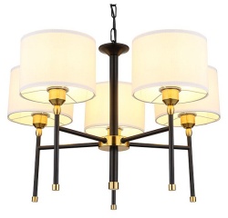 Подвесная люстра Arte Lamp Jamie A4090LM-5BK в интернет-магазине "Галерея света"