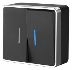 Выключатель двухклавишный с подсветкой без рамки Werkel Gallant (черный/хром) W5020135 в интернет-магазине "Галерея света"