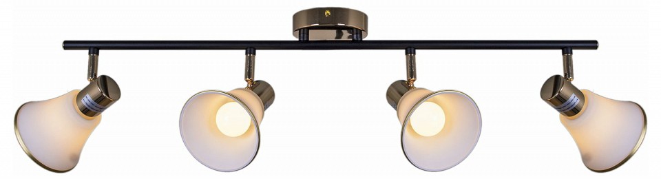 Люстра на штанге  05901-0.8-04 BK+FGD в интернет-магазине "Галерея света"