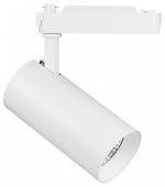 Светильник на штанге Lightstar Fuoco 218246 в интернет-магазине "Галерея света"