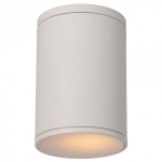 Накладной светильник Lucide Tubix 27870/01/31 в интернет-магазине "Галерея света"