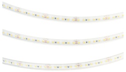 Лента светодиодная Arlight RTW-PS 062449 в интернет-магазине "Галерея света"