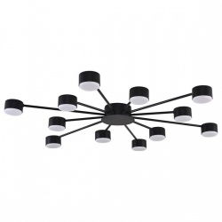 Потолочная люстра Lumion TORINA 8344/12C в интернет-магазине "Галерея света"