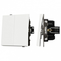 Выключатель двухклавишный без рамки Arlight SWT 054547 в интернет-магазине "Галерея света"