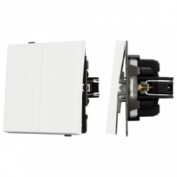 Выключатель проходной двухклавишный без рамки Arlight SWT 054556 в интернет-магазине "Галерея света"