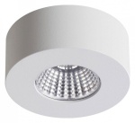 Накладной светильник Odeon Light Bene 4282/7CL в интернет-магазине "Галерея света"