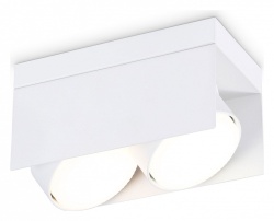 Накладной светильник Ambrella Light TN TN70845 в интернет-магазине "Галерея света"