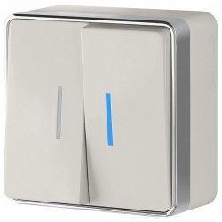 Выключатель двухклавишный с подсветкой Werkel Gallant (слоновая кость) W5020103 в интернет-магазине "Галерея света"