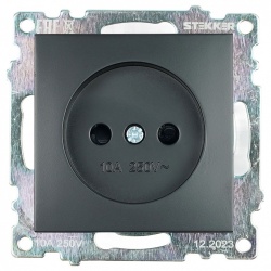 Розетка без заземления и со шторкой, без рамки Stekker Катрин 39609 в интернет-магазине "Галерея света"