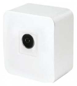 ТВ-розетка Stekker София 49299 в интернет-магазине "Галерея света"