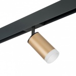 Светильник на штанге Lightstar Rullo PRO44030 в интернет-магазине "Галерея света"