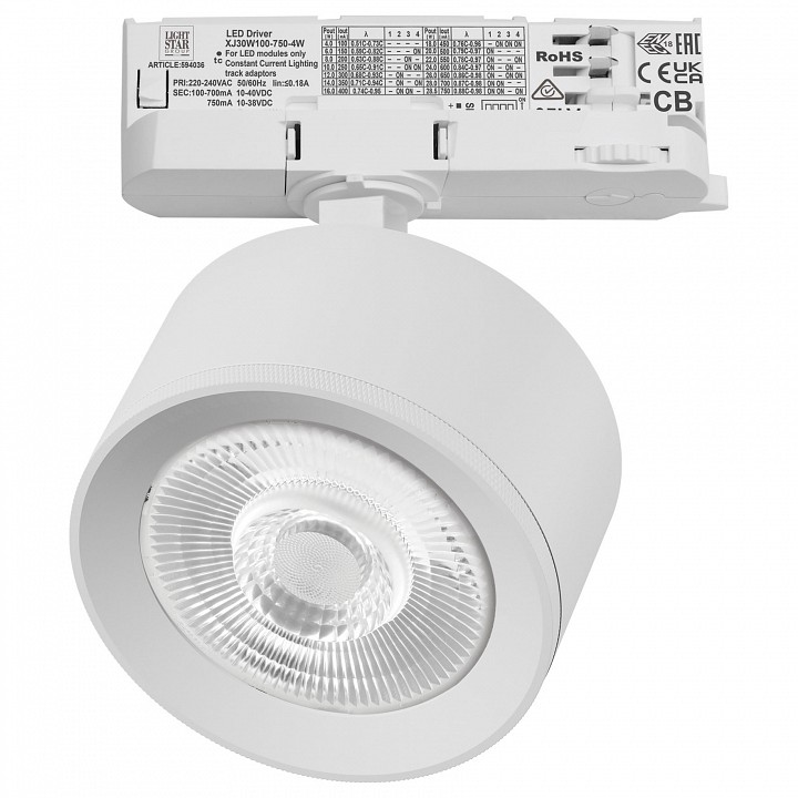 Светильник на штанге Lightstar Alta Pro A5546QT60G в интернет-магазине "Галерея света"