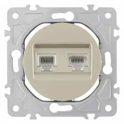 Розетка двойная RJ-11 и Ethernet RJ-45, без рамки Arte Milano am-202 202.44-1.shampan в интернет-магазине "Галерея света"