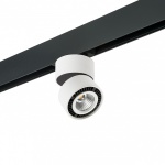 Светильник на штанге Lightstar Forte Muro PRO214816 в интернет-магазине "Галерея света"