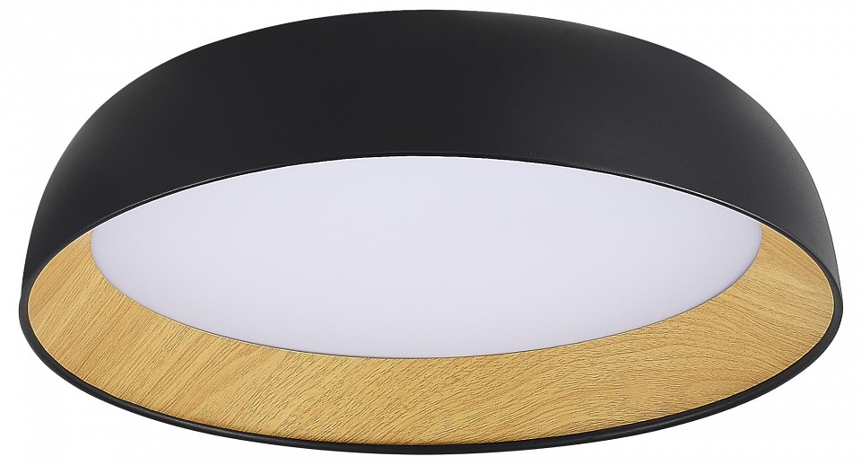 Накладной светильник EVOLUCE MUSE SLE1812-402-01 в интернет-магазине "Галерея света"