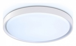 Накладной светильник Ambrella Light FZ FZ1246 в интернет-магазине "Галерея света"