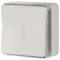 Выключатель одноклавишный с подсветкой Werkel Gallant (слоновая кость) W5010103 в интернет-магазине "Галерея света"